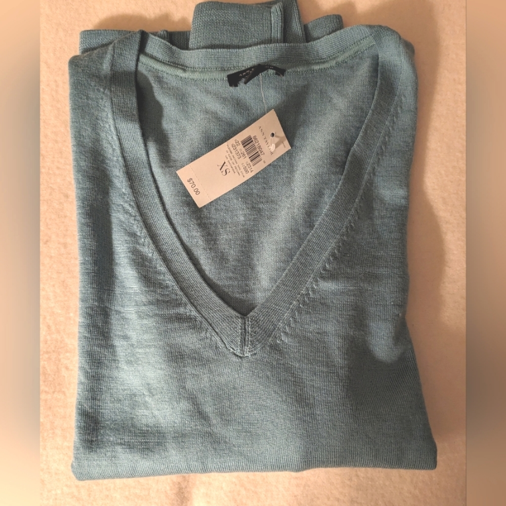NWT Ann Taylor V neck lightweight sweater